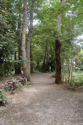 森林公園３